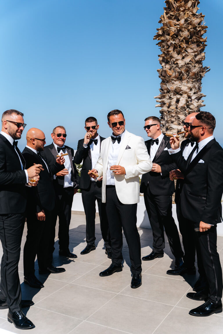 Emily & Wide’s Wedding in Santorini